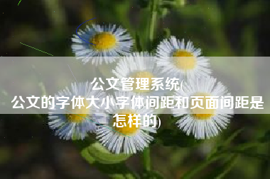 公文管理系统(
公文的字体大小字体间距和页面间距是怎样的) 公文管理系统(
公文的字体大小字体间距和页面间距是怎样的)