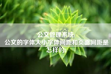 公文管理系统(
公文的字体大小字体间距和页面间距是怎样的) 公文管理系统(
公文的字体大小字体间距和页面间距是怎样的)