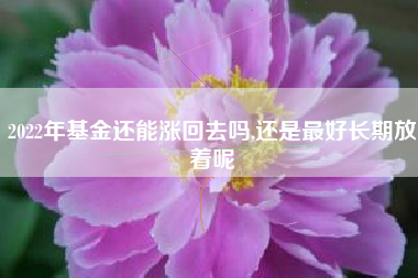 2022年基金还能涨回去吗,还是最好长期放着呢
