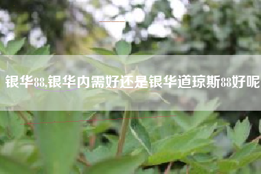 银华88,银华内需好还是银华道琼斯88好呢