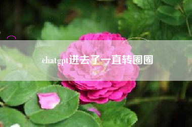 chatgpt进去了一直转圈圈