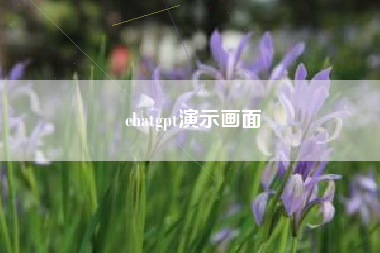 chatgpt演示画面
