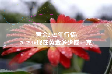 黄金2022年行情(
2022916现在黄金多少钱一克) 黄金2022年行情(
2022916现在黄金多少钱一克)