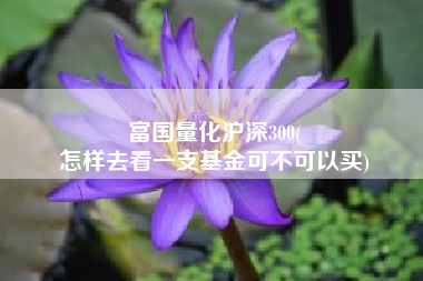 富国量化沪深300(
怎样去看一支基金可不可以买) 富国量化沪深300(
怎样去看一支基金可不可以买)