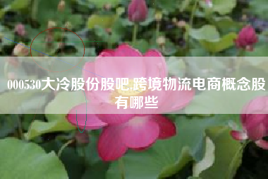 000530大冷股份股吧,跨境物流电商概念股有哪些