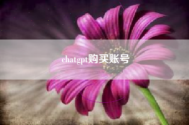 chatgpt购买账号