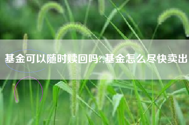 基金可以随时赎回吗?,基金怎么尽快卖出