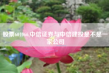 股票601066,中信证券与中信建投是不是一家公司