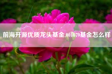 前海开源优质龙头基金,001679基金怎么样