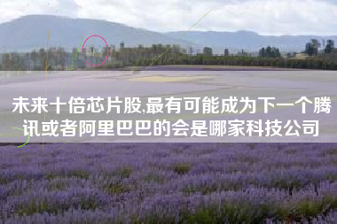 未来十倍芯片股,最有可能成为下一个腾讯或者阿里巴巴的会是哪家科技公司