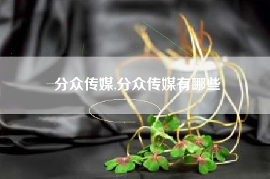 分众传媒,分众传媒有哪些