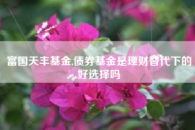 富国天丰基金,债券基金是理财替代下的好选择吗