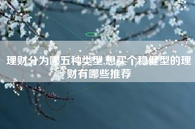 理财分为哪五种类型,想买个稳健型的理财有哪些推荐