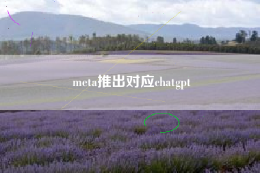 meta推出对应chatgpt