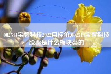 002514宝馨科技2022目标价,002514宝馨科技股票是什么板块类的
