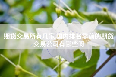 期货交易所有几家,国内排名靠前的期货交易公司有哪些呀