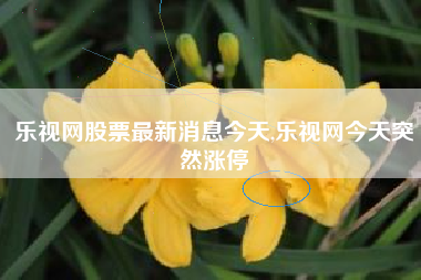 乐视网股票最新消息今天,乐视网今天突然涨停