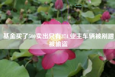 基金买了500卖出只有374,业主车辆被剐蹭被偷盗