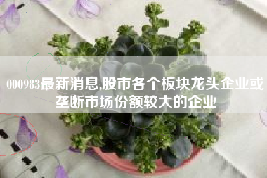 000983最新消息,股市各个板块龙头企业或垄断市场份额较大的企业