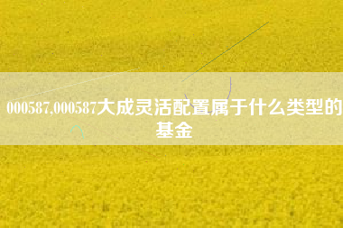 000587,000587大成灵活配置属于什么类型的基金
