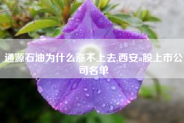详细阅读:通源石油为什么涨不上去,西安a股上市公司名单 通源石油为什么涨不上去,西安a股上市公司名单