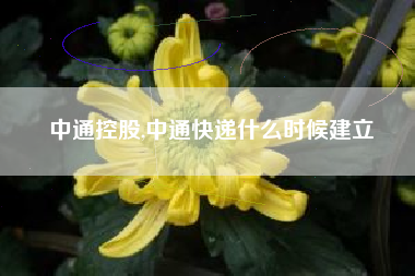 中通控股,中通快递什么时候建立