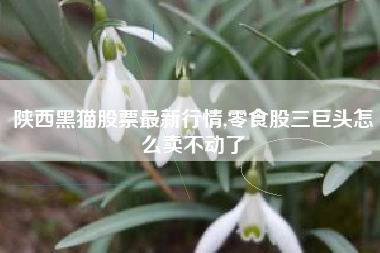 陕西黑猫股票最新行情,零食股三巨头怎么卖不动了