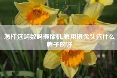 怎样选购数码摄像机,家用摄像头选什么牌子的好