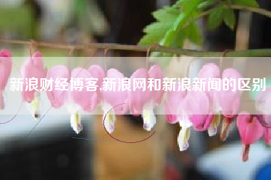 新浪财经博客,新浪网和新浪新闻的区别