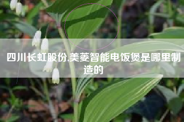 四川长虹股份,美菱智能电饭煲是哪里制造的