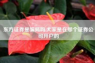 东方证券是骗局吗,大家是在那个证券公司开户的
