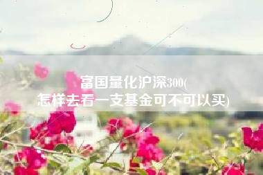 富国量化沪深300(
怎样去看一支基金可不可以买) 富国量化沪深300(
怎样去看一支基金可不可以买)