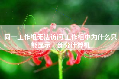 同一工作组无法访问,工作组中为什么只能显示一部分计算机