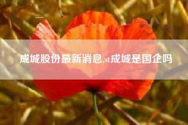 成城股份最新消息,st成城是国企吗