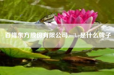百隆东方股份有限公司,mike是什么牌子