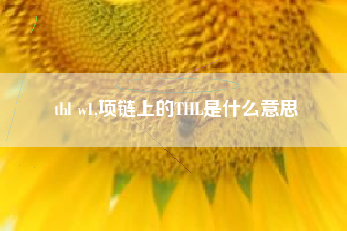 thl w1,项链上的THL是什么意思