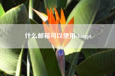 什么邮箱可以使用chatgpt