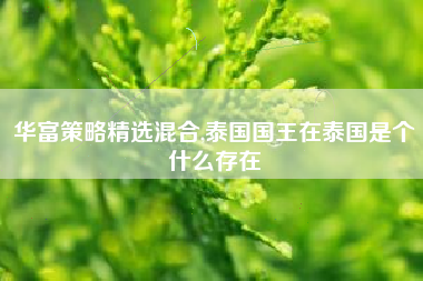华富策略精选混合,泰国国王在泰国是个什么存在