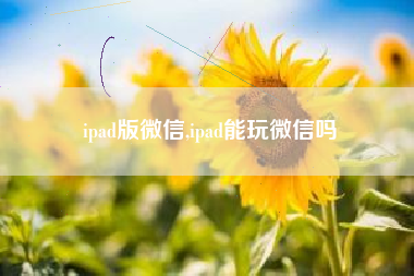 ipad版微信,ipad能玩微信吗