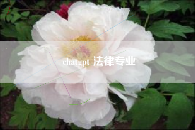 chatgpt 法律专业