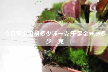 今日黄金价格多少钱一克,千足金99999多少一克