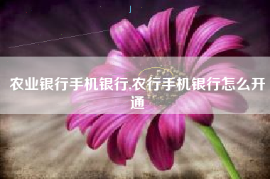 农业银行手机银行,农行手机银行怎么开通