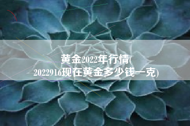 黄金2022年行情(
2022916现在黄金多少钱一克) 黄金2022年行情(
2022916现在黄金多少钱一克)