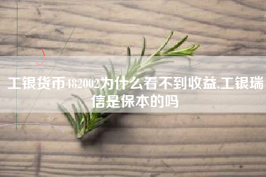 工银货币482002为什么看不到收益,工银瑞信是保本的吗