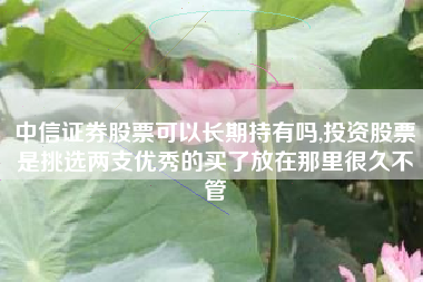 中信证券股票可以长期持有吗,投资股票是挑选两支优秀的买了放在那里很久不管