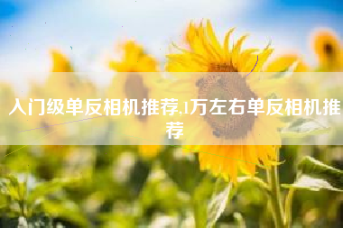 入门级单反相机推荐,1万左右单反相机推荐