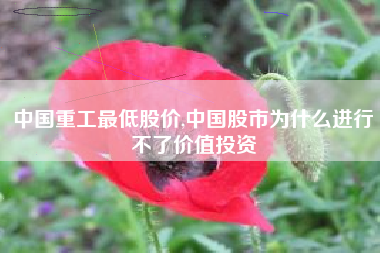 中国重工最低股价,中国股市为什么进行不了价值投资