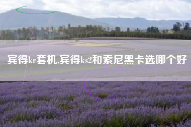 宾得kr套机,宾得ks2和索尼黑卡选哪个好