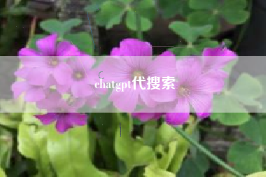 chatgpt代搜索