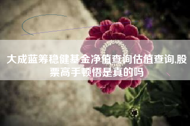 大成蓝筹稳健基金净值查询估值查询,股票高手顿悟是真的吗